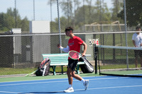 Men's Tennis 2024