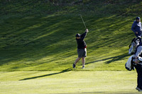 Golf 2023-24